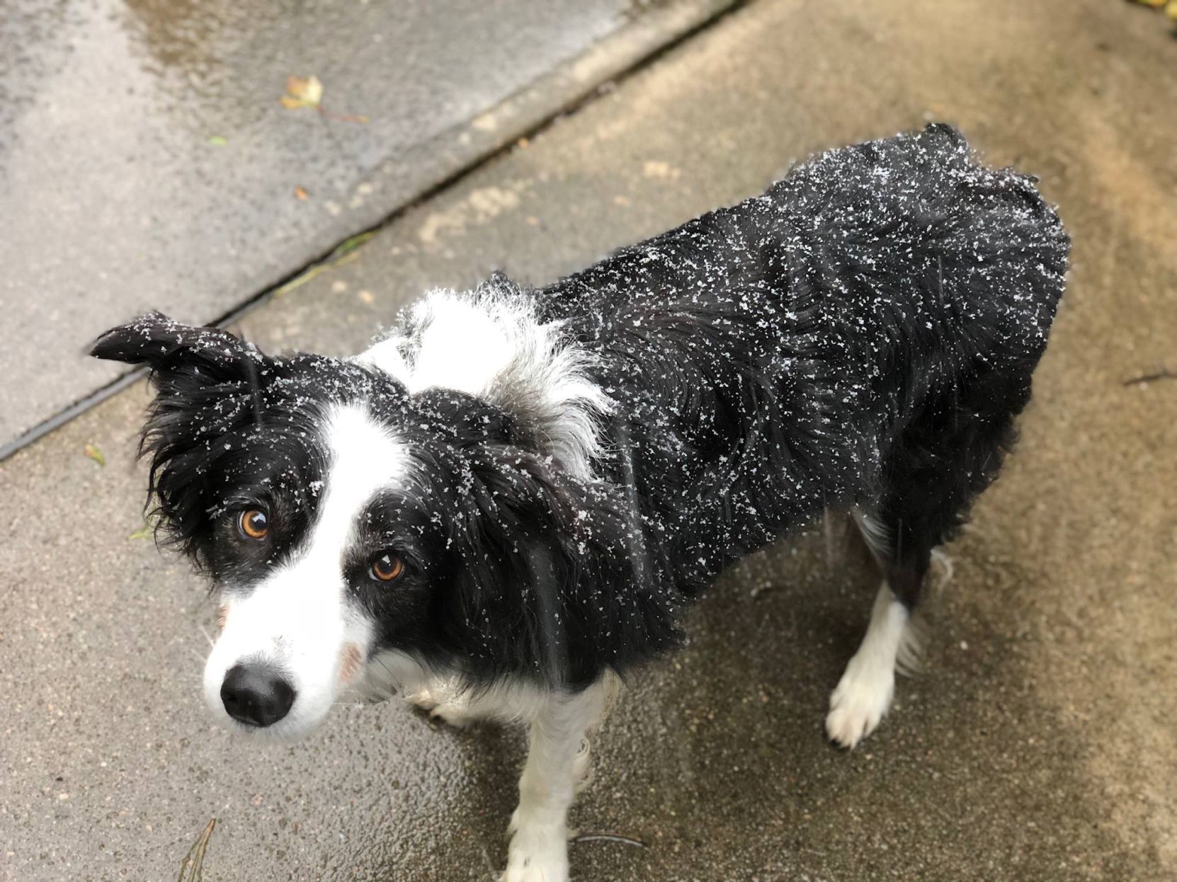 Snow, 10/14